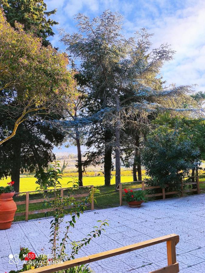 Agriturismo Pian Dell'Osa Villa Montiano  Kültér fotó