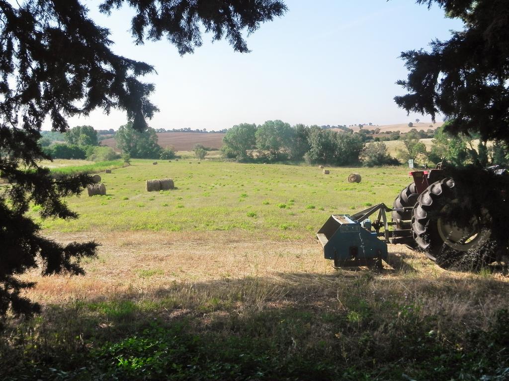 Agriturismo Pian Dell'Osa Villa Montiano  Kültér fotó