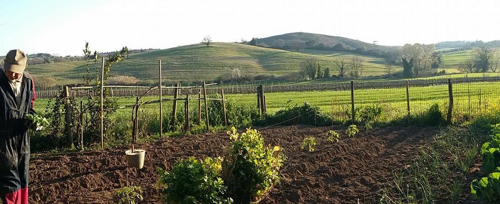 Agriturismo Pian Dell'Osa Villa Montiano  Kültér fotó